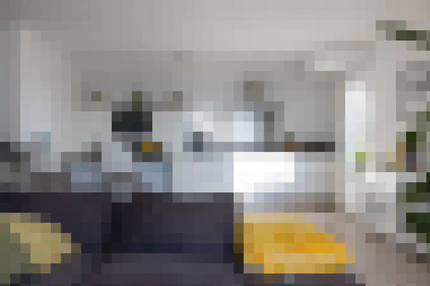 Bulgersteyn 7113 Rotterdam thumbnail 5
