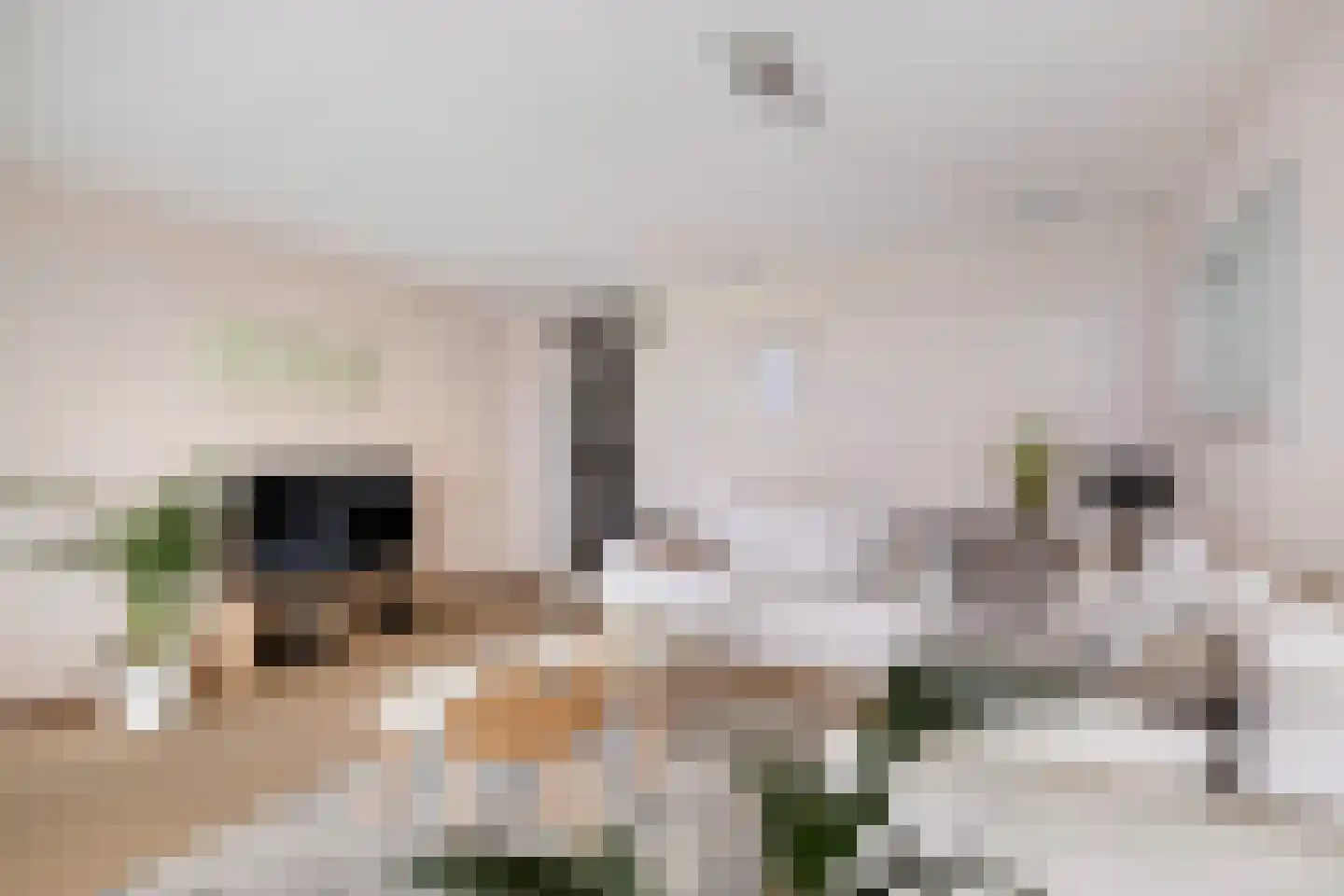 Bulgersteyn 7137 Rotterdam thumbnail 12