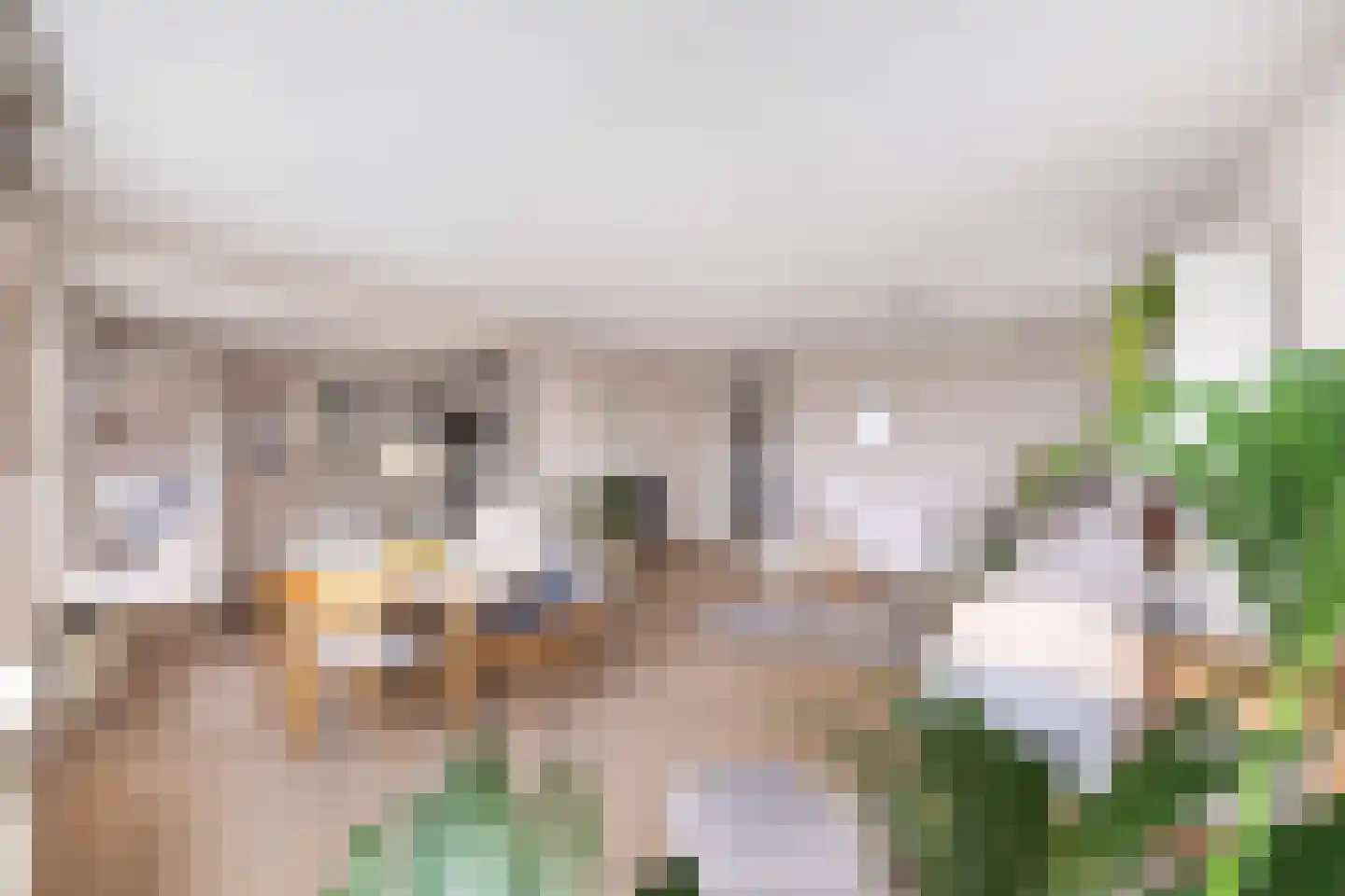 Bulgersteyn 7137 Rotterdam thumbnail 13