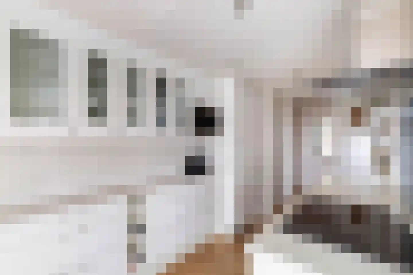 Bulgersteyn 7137 Rotterdam thumbnail 15
