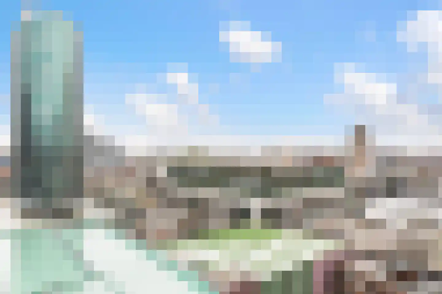 Bulgersteyn 7137 Rotterdam thumbnail 33