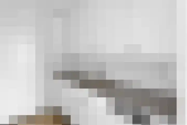 Bulgersteyn 7147 Rotterdam thumbnail 13
