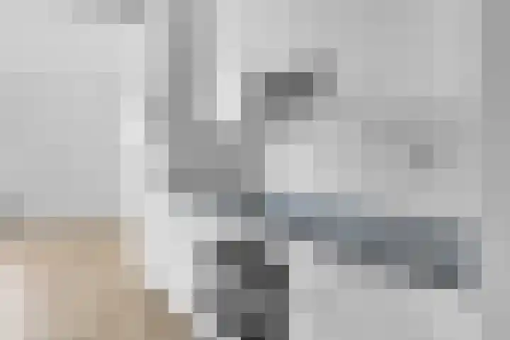 Bulgersteyn 7147 Rotterdam thumbnail 14