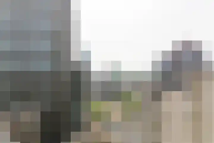Bulgersteyn 7147 Rotterdam thumbnail 5