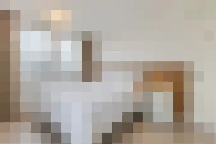 Bulgersteyn 7191 Rotterdam thumbnail 17