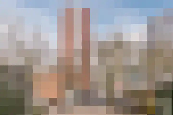Bulgersteyn 7191 Rotterdam thumbnail 27