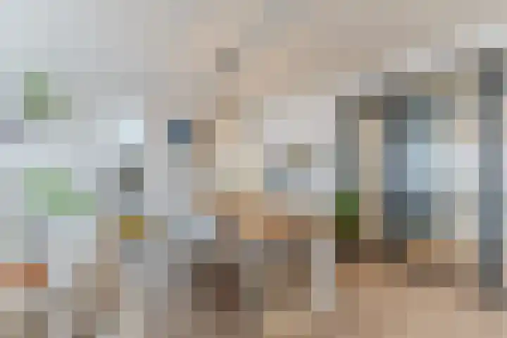 Bulgersteyn 7191 Rotterdam thumbnail 4