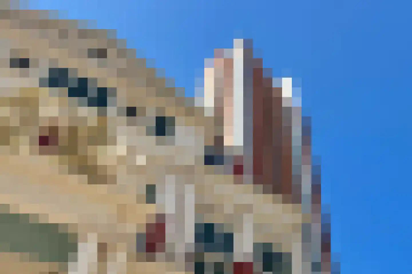 Bulgersteyn 7211 Rotterdam thumbnail 30