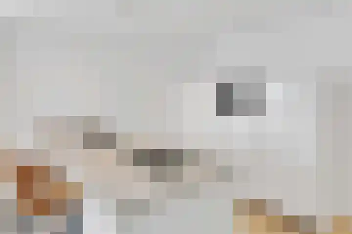 Bulgersteyn 7233 Rotterdam thumbnail 14