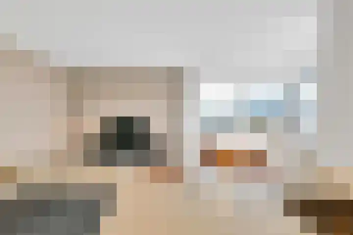 Bulgersteyn 7233 Rotterdam thumbnail 16