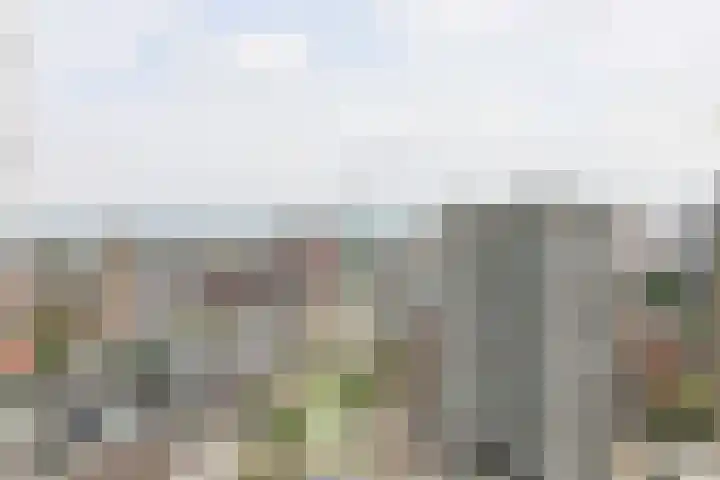 Bulgersteyn 7233 Rotterdam thumbnail 9