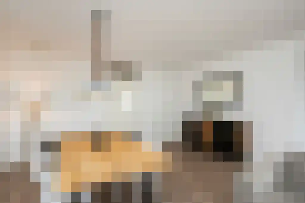 Bulgersteyn 7257 Rotterdam thumbnail 5