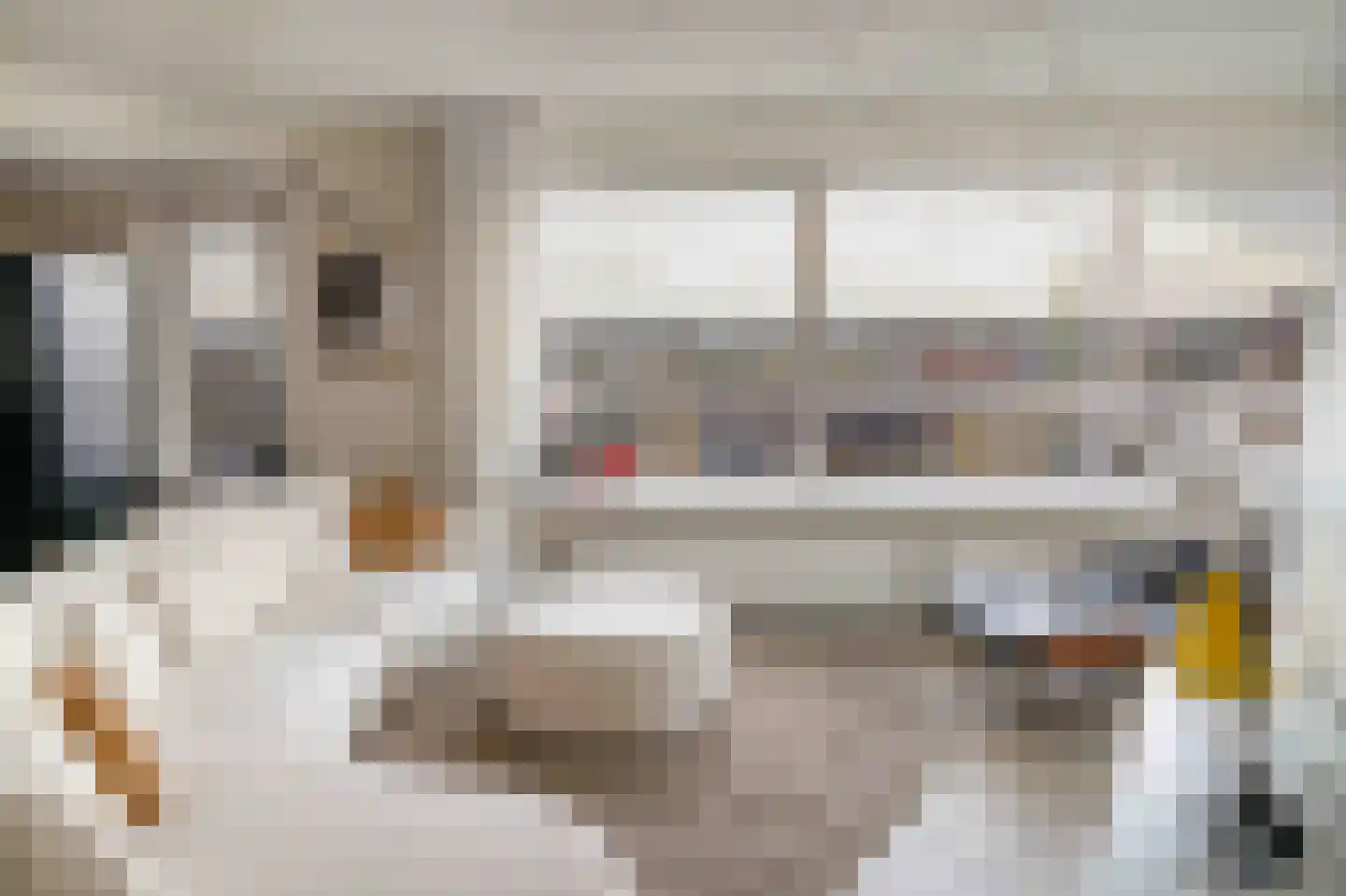 Bulgersteyn 7261 Rotterdam thumbnail 15