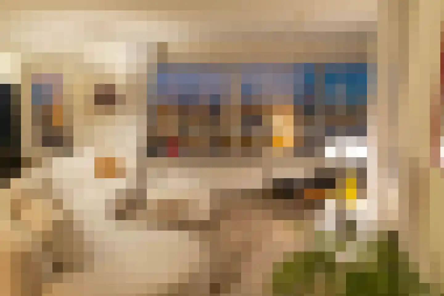 Bulgersteyn 7261 Rotterdam thumbnail 40