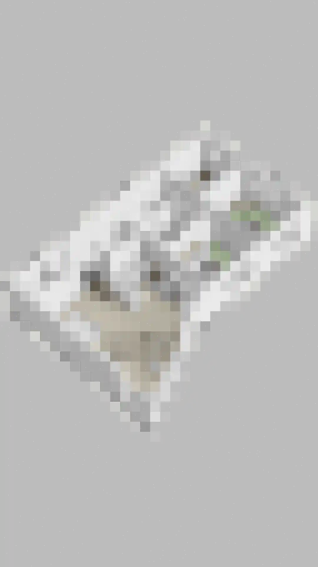 Bulgersteyn 7261 Rotterdam thumbnail 43