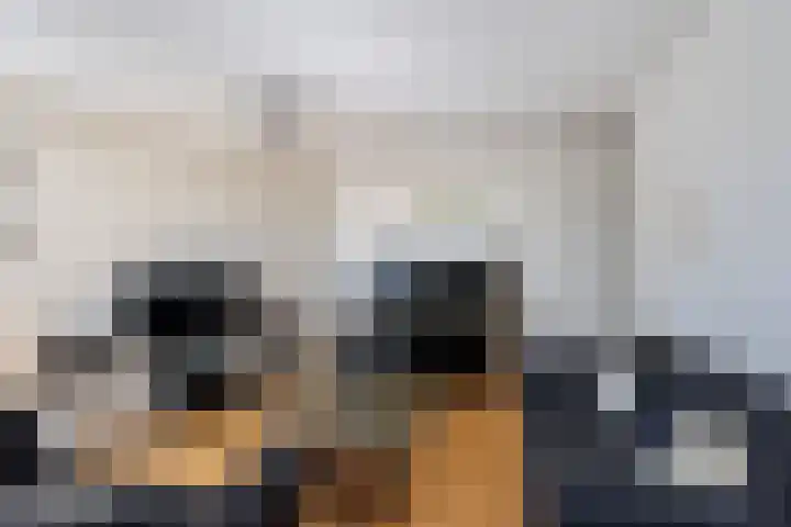Bulgersteyn 7273 Rotterdam thumbnail 13