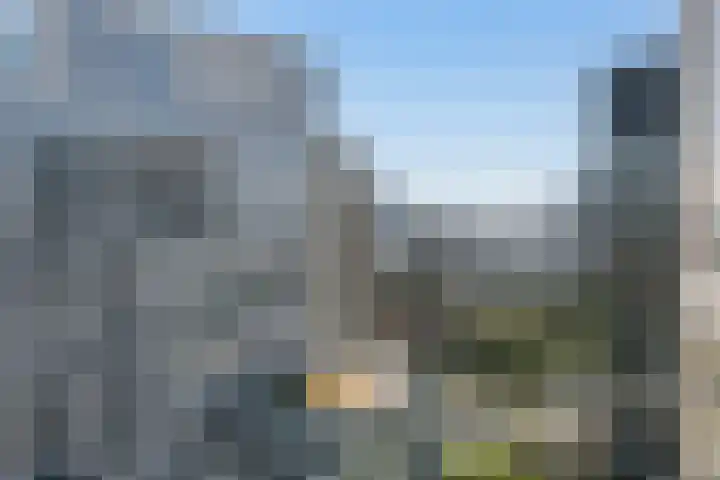 Bulgersteyn 7273 Rotterdam thumbnail 21