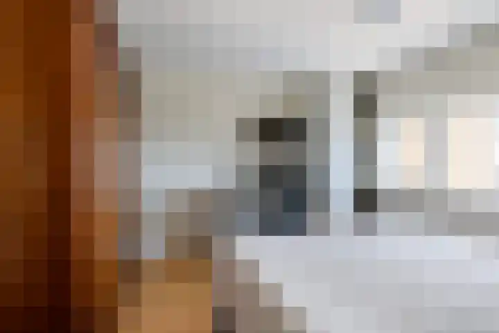Bulgersteyn 7273 Rotterdam thumbnail 23