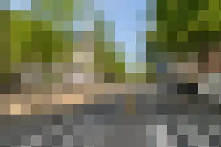 Bulgersteyn 7273 Rotterdam thumbnail 37