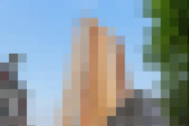 Bulgersteyn 7273 Rotterdam thumbnail 4
