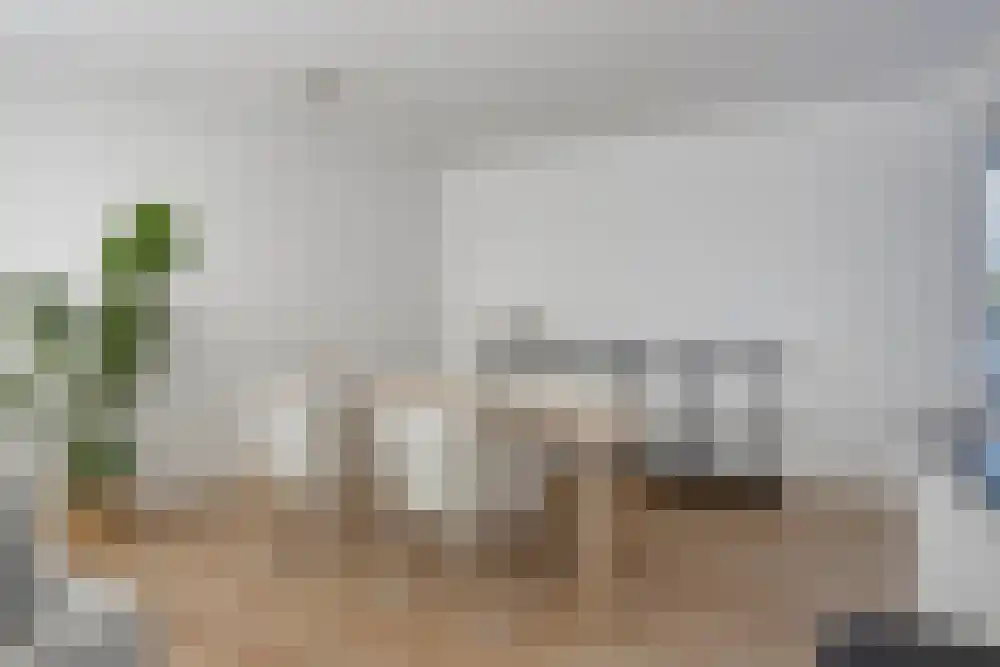 Bulgersteyn 7291 Rotterdam thumbnail 12