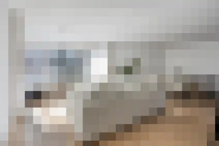 Bulgersteyn 7291 Rotterdam thumbnail 7