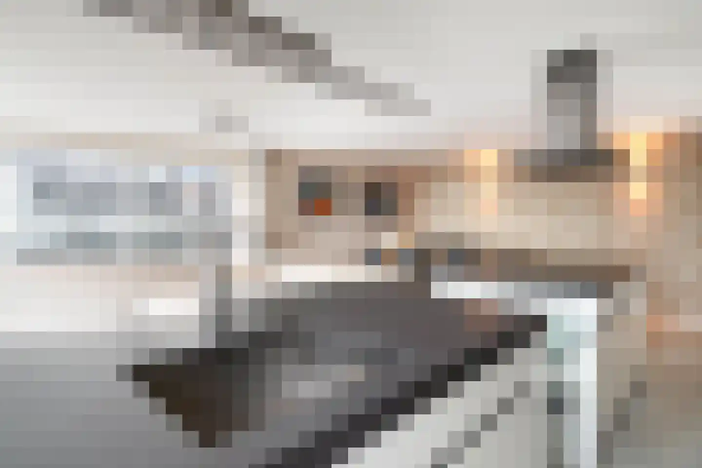 Bulgersteyn 7293 Rotterdam thumbnail 16