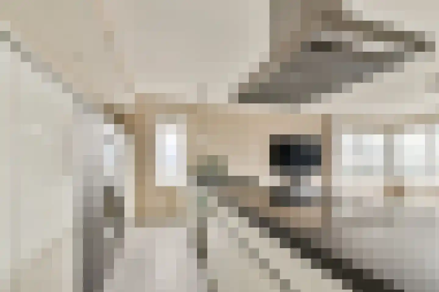 Bulgersteyn 7293 Rotterdam thumbnail 6