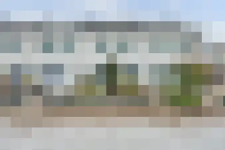 Bulgersteyn 7305 Rotterdam thumbnail 10