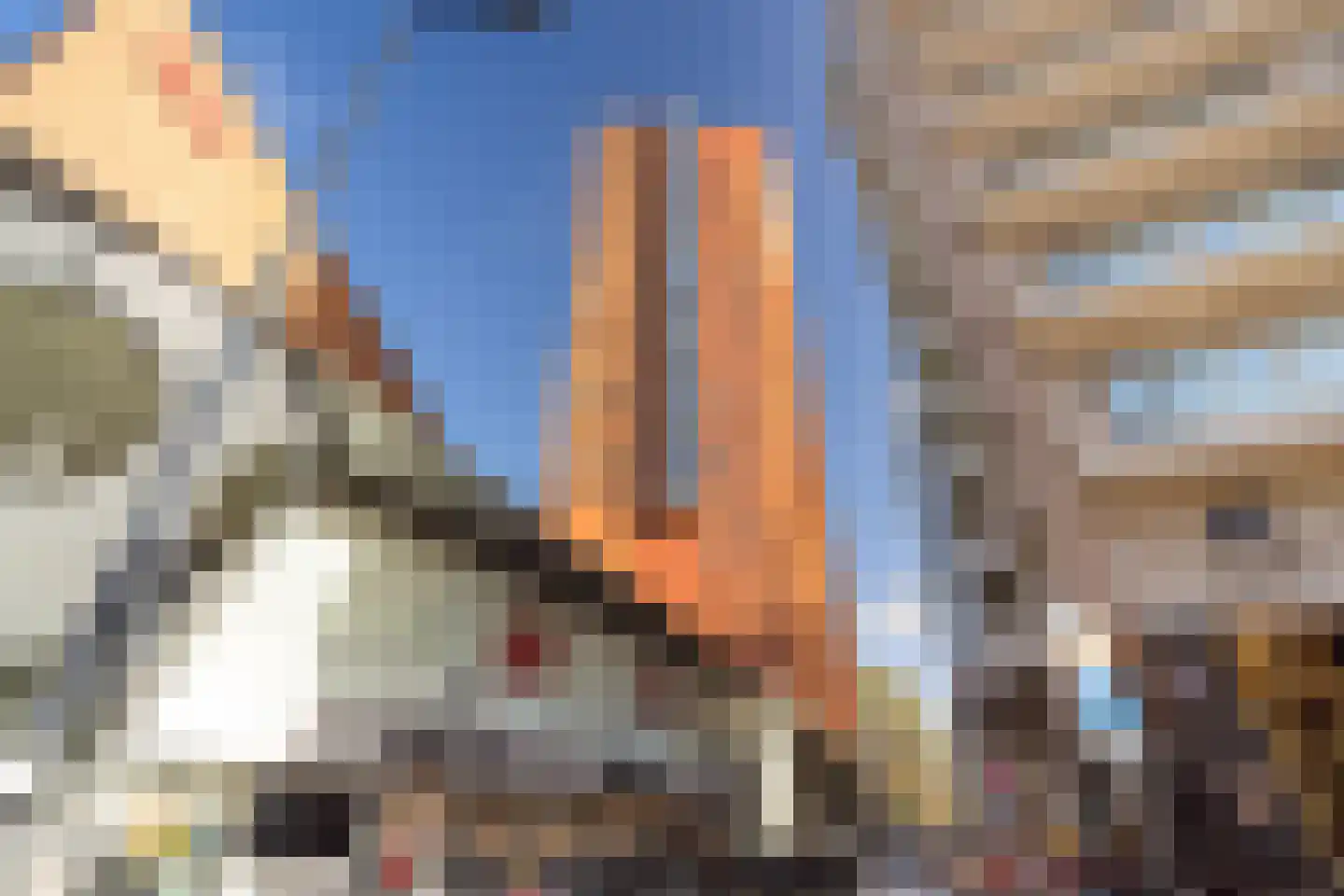 Bulgersteyn 7305 Rotterdam thumbnail 20