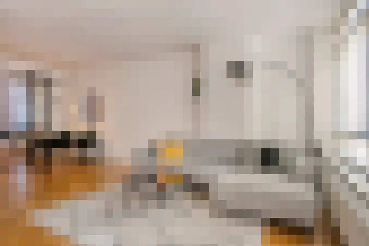 Bulgersteynhof 11 B Rotterdam thumbnail 10