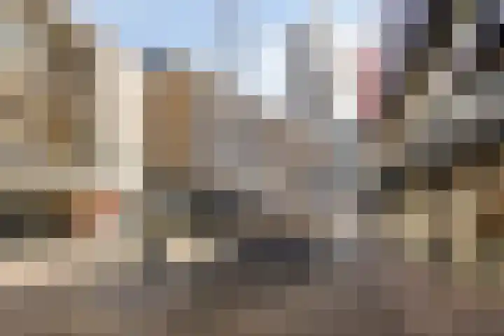 Bulgersteynhof 11 B Rotterdam thumbnail 22