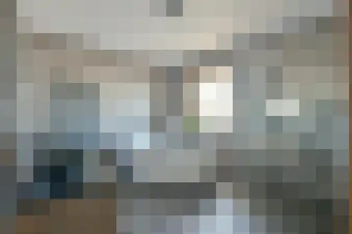 Bulgersteynhof 11 B Rotterdam thumbnail 6