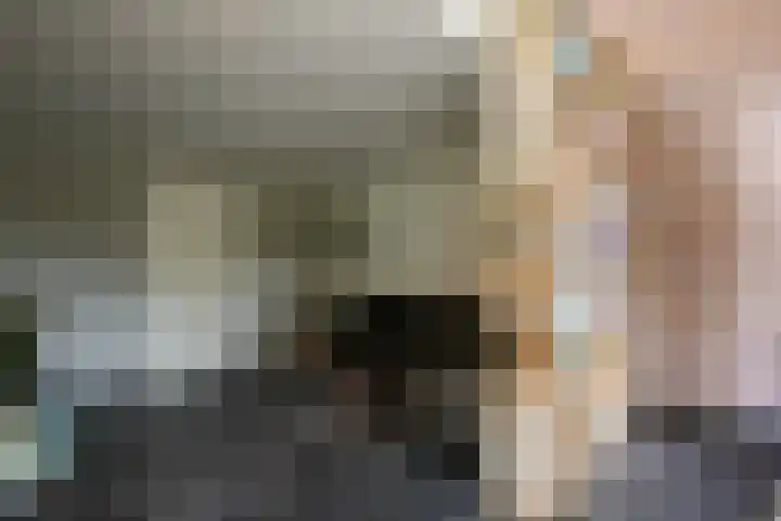 Bulkemsbroek 21 Simpelveld thumbnail 11