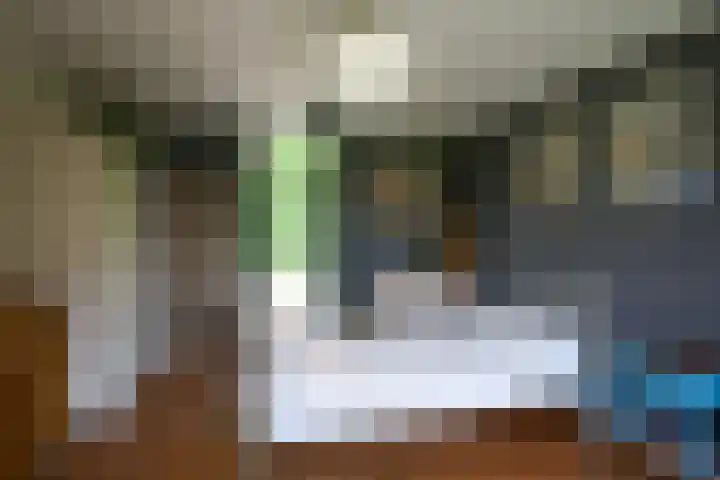 Bulkemsbroek 21 Simpelveld thumbnail 23