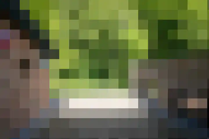 Bulkemsbroek 21 Simpelveld thumbnail 24