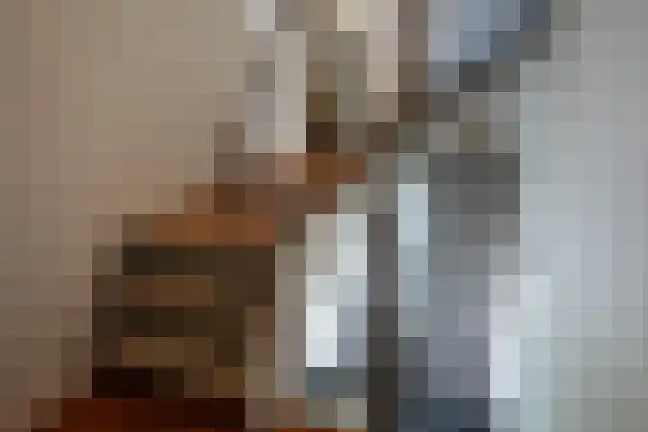 Bulkemsbroek 21 Simpelveld thumbnail 32