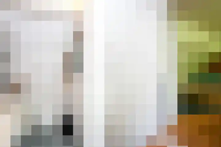 Bulkemsbroek 21 Simpelveld thumbnail 37