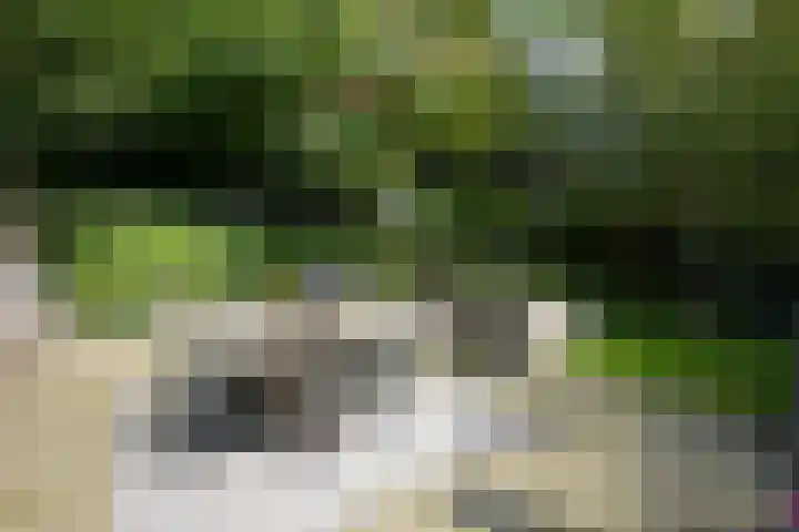 Bulkemsbroek 21 Simpelveld thumbnail 39