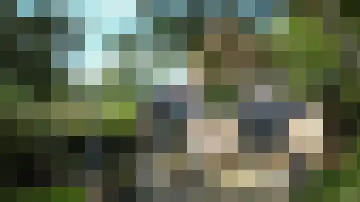 Bulkemsbroek 21 Simpelveld thumbnail 40