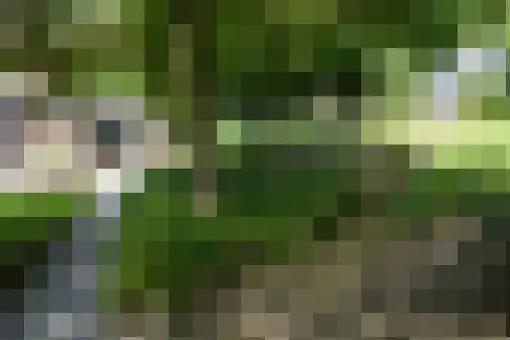 Bulkemsbroek 21 Simpelveld thumbnail 41