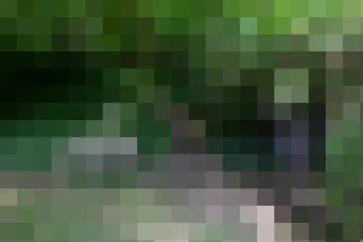 Bulkemsbroek 21 Simpelveld thumbnail 42