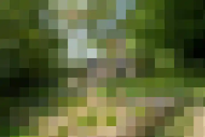 Bulkemsbroek 21 Simpelveld thumbnail 44