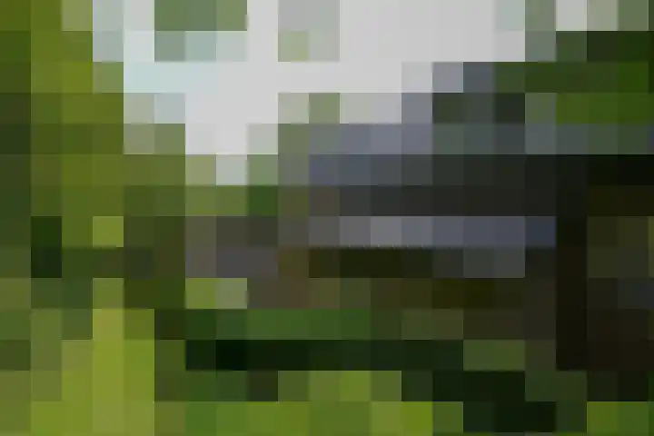 Bulkemsbroek 21 Simpelveld thumbnail 46