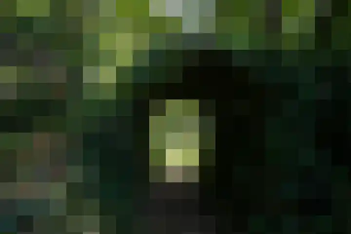 Bulkemsbroek 21 Simpelveld thumbnail 47