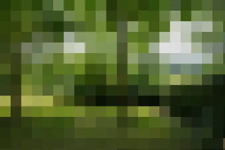 Bulkemsbroek 21 Simpelveld thumbnail 48