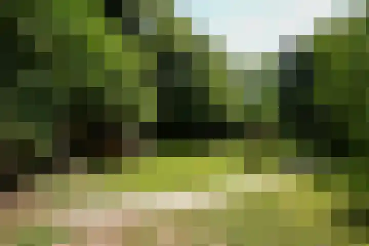 Bulkemsbroek 21 Simpelveld thumbnail 49