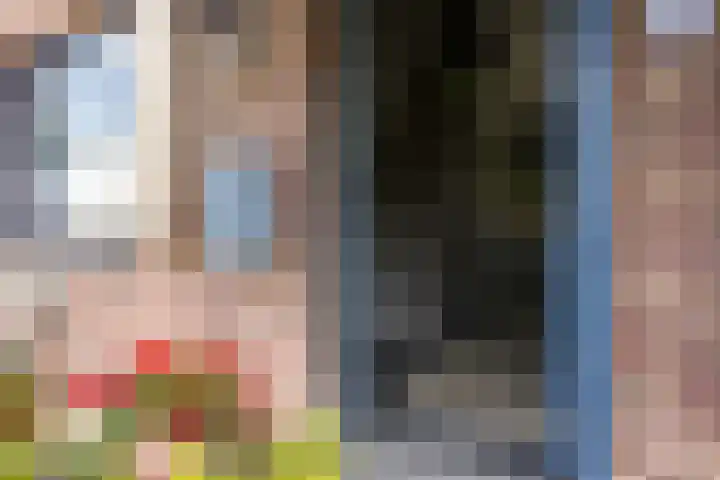 Bulkemsbroek 21 Simpelveld thumbnail 5