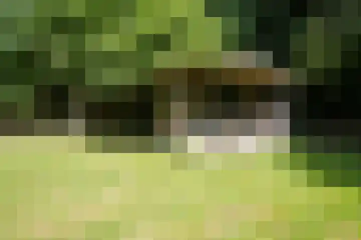 Bulkemsbroek 21 Simpelveld thumbnail 50