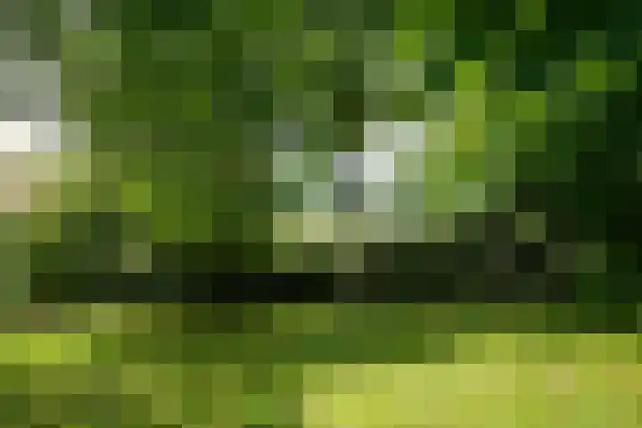 Bulkemsbroek 21 Simpelveld thumbnail 52